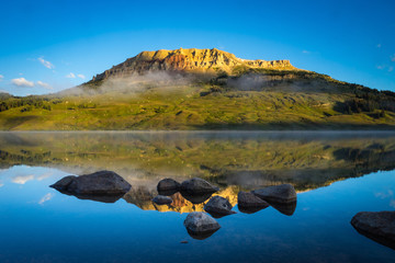 品茶的精美句子
