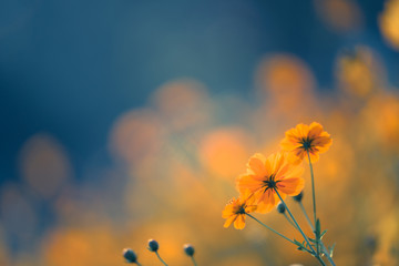 知乎怎么评价中国的禁毒工作