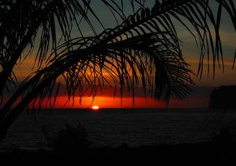 知乎怎么评价中国的禁毒工作