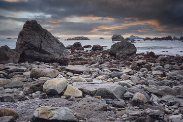 品茶的精美句子