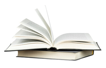 拥有一只可爱的橘猫是什么体验？