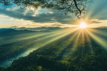 品茶的精美句子