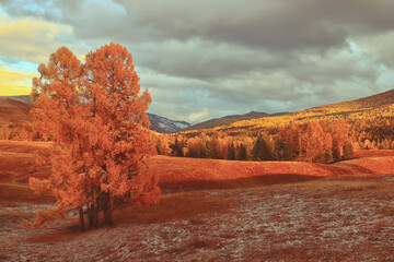 生活中有哪些有趣的健康冷知识?